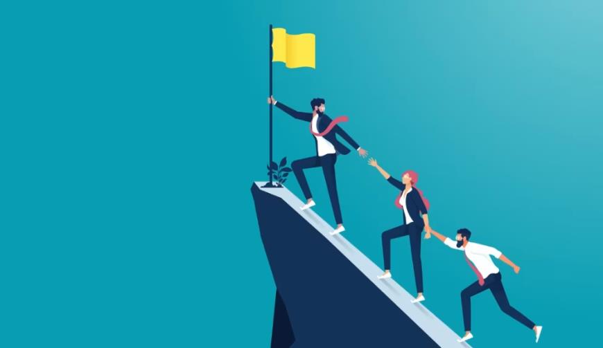 软件开发